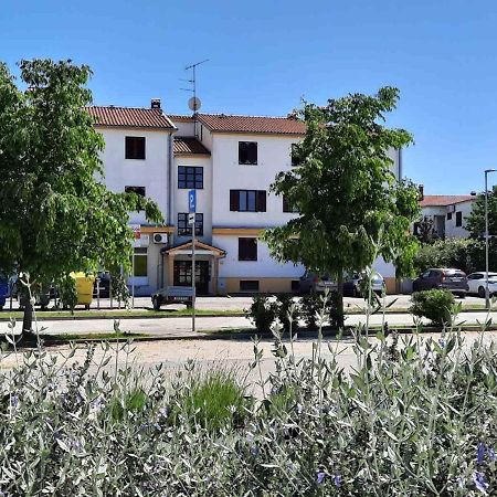 Apartment Thalassa Ρόβινι Εξωτερικό φωτογραφία
